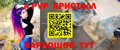 сатива Нальчик