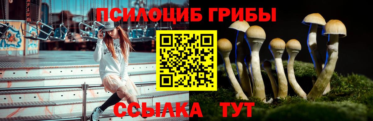 Псилоцибиновые грибы мухоморы Сальск